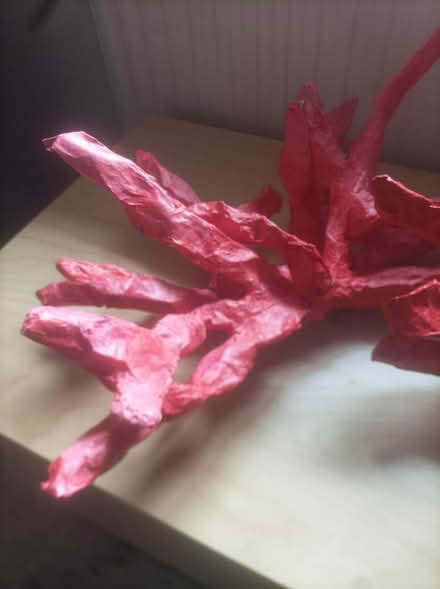 Photo of free Coral art craft (Coulsdon CR5) #3
