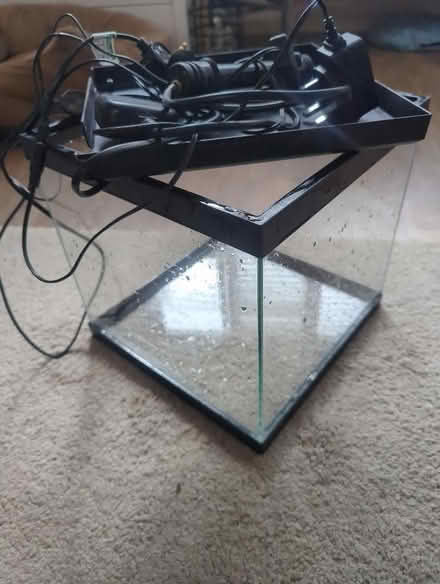 Photo of free Fish tank - very small (Wokingham RG40) #1