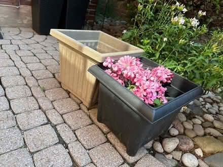 Photo of free 2 Planters (Erin Mills) #1