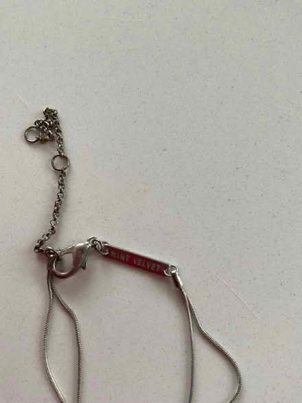 Photo of free Mint Velvet pendant & chain (Covingham SN3) #3