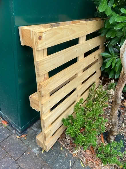 Photo of free Wooden pallet (Reigate RH2) #1