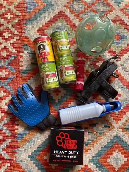 Photo of free Dog supplies bundle (Pollokshields, G41) #1