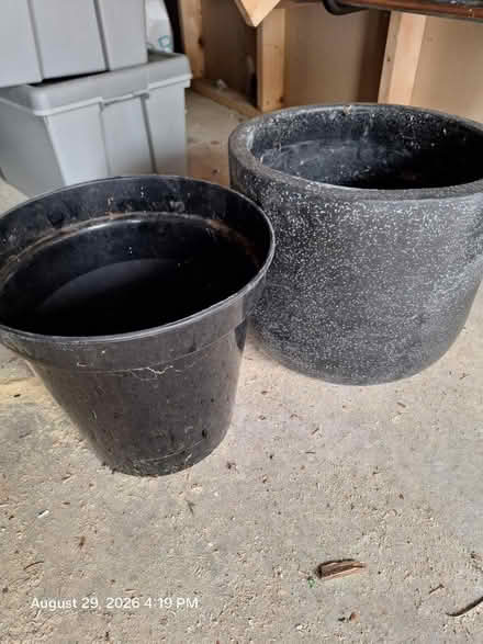 Photo of free 2 Flower Pots (Southampton SO16) #1