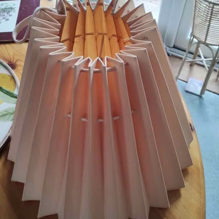 Photo of free Pink Lampshade for Ceiling Light (Rayleigh SS6) #3