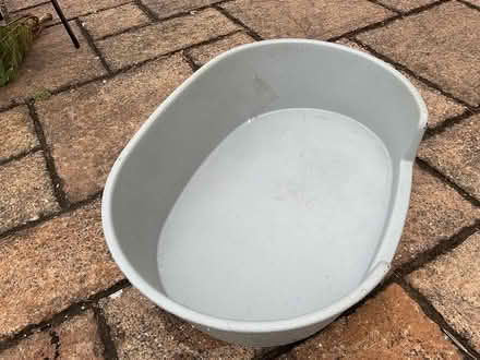 Photo of free Large dog bed (Maidstone ME15) #1