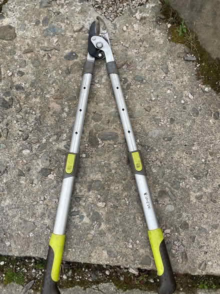 Photo of free Pruners (Windermere LA23) #1
