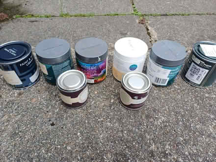 Photo of free Paint samples (Braeside AB15) #1