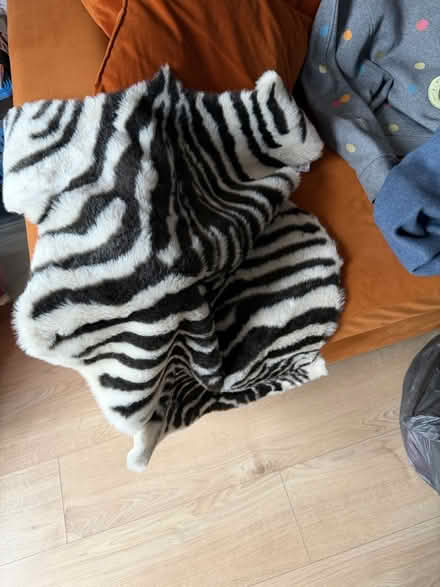 Photo of free Small rug (Bermondsey SE1) #1