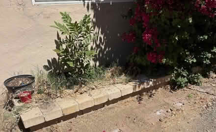 Photo of free Roman / Landscape Blocks — You Haul (West San Jose) #2