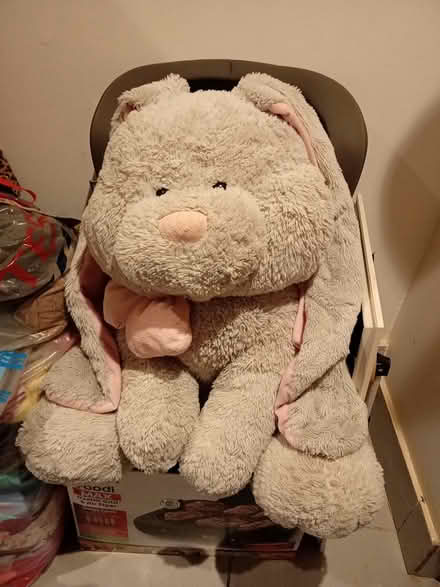 Photo of free Large teddy (Richmond TW10) #1