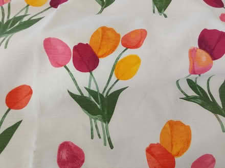 Photo of free Rectangular Table Cloth (K2A 0G7) #2