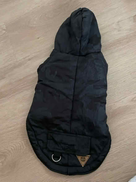 Photo of free Dog coat, small (Woodingdean BN2) #2