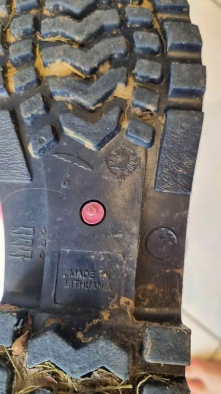 Photo of free Pink size 7 Wellies (Warsash SO31) #2