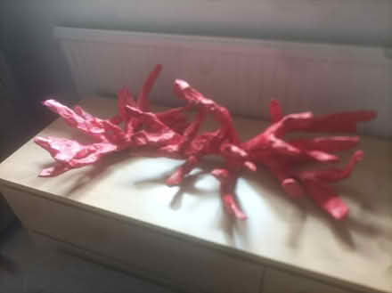 Photo of free Coral art craft (Coulsdon CR5) #1