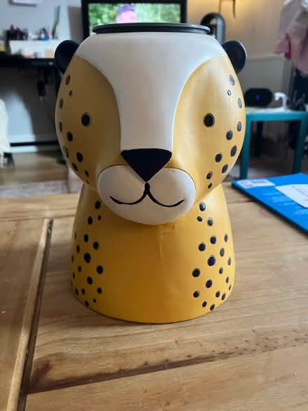 Photo of free Cheetah plant pot 🪴 (Waddon CR0) #1