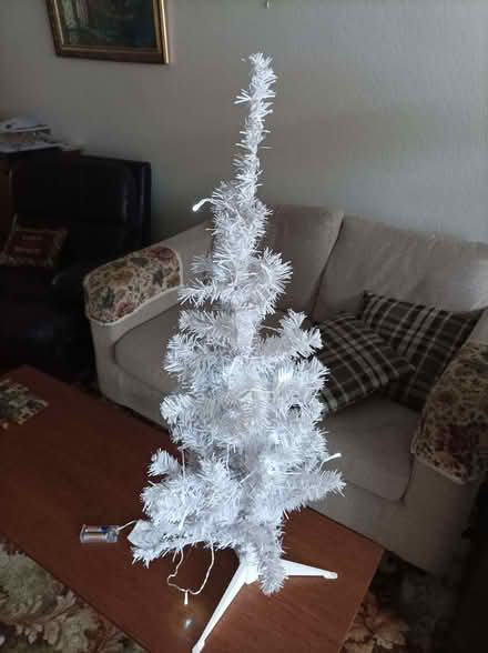Photo of free Christmas tree with lights (Seaside BN23) #1