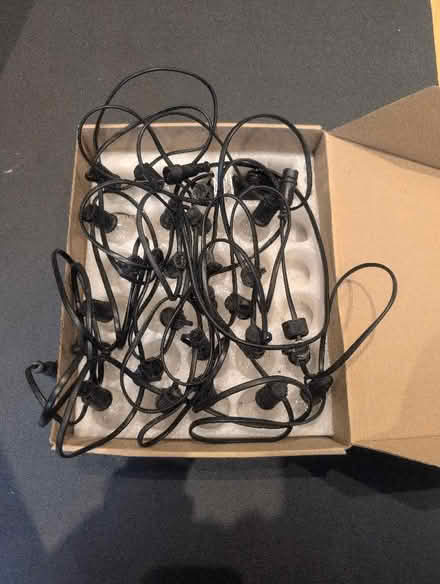 Photo of free 25ft Weatherproof Globe String Lights (Highbury N5) #2