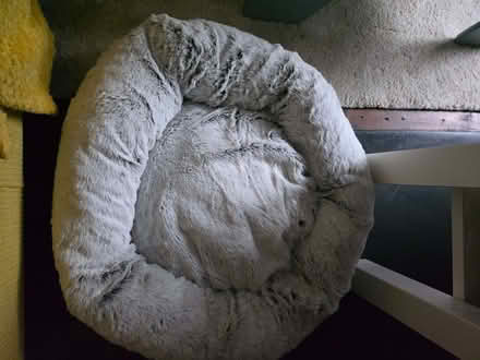 Photo of free Cat bed (Banner Cross S11) #1