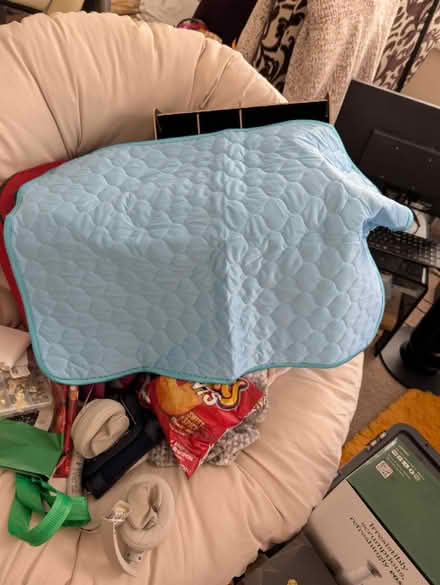Photo of free Dog/cat cooling blanket (North shields NE29) #1