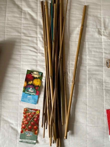 Photo of free Gardening sticks ~60cm, seeds (Woodlands TW7) #1