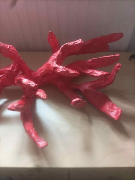 Photo of free Coral art craft (Coulsdon CR5) #2