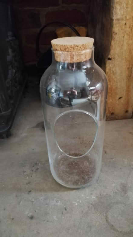 Photo of free glass plant terrarium (Freehold LA1) #1