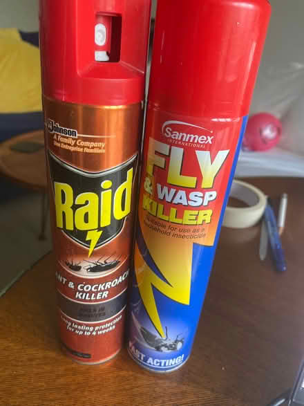 Photo of free Bugs killer (Woodlands TW7) #1