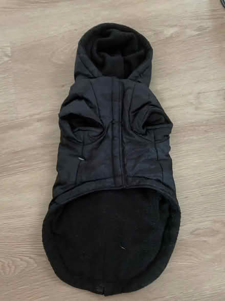 Photo of free Dog coat, small (Woodingdean BN2) #1