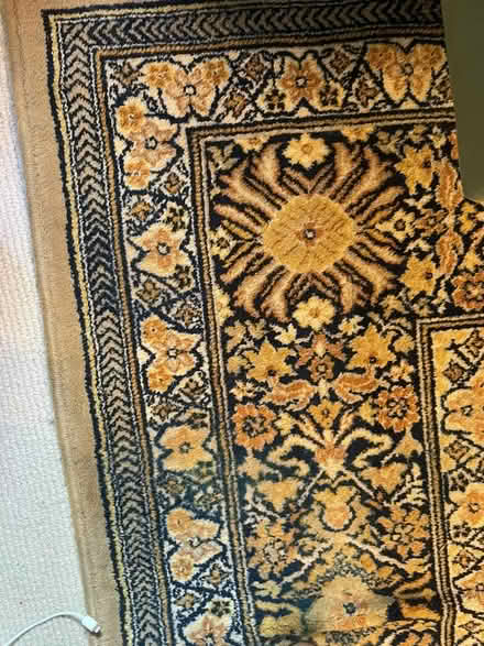 Photo of free Large Rug (7 dials BN1) #3