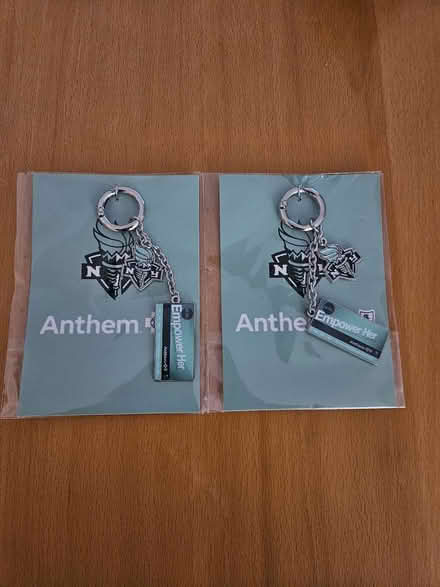 Photo of free WNBA NY Liberty Pendants/Keychains (Hackettstown) #1