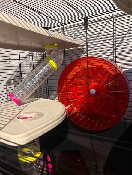 Photo of free Hamster Cage and Accessories (Bramley S66) #2