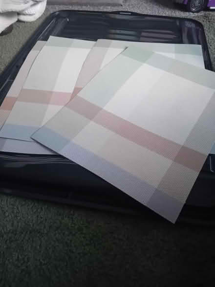 Photo of free 4 x large table mats (Kempston MK42) #1
