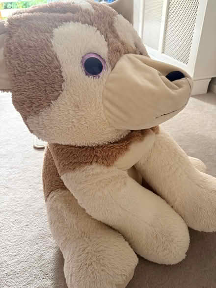 Photo of free Large bingo soft toy (Park hill CR0 5) #2
