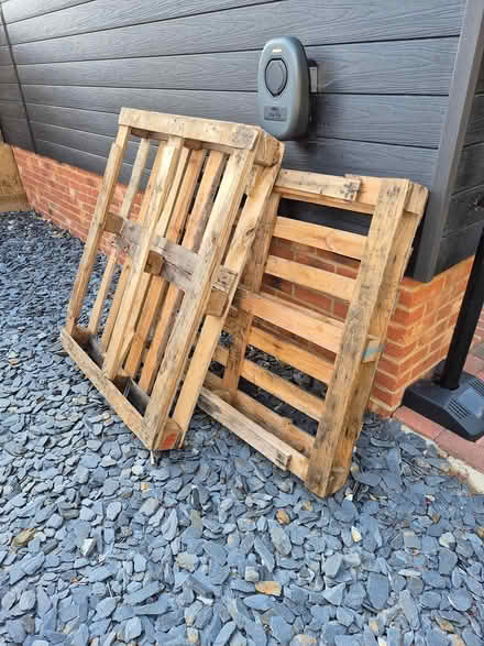 Photo of free 2 pallets (Stondon SG16) #1