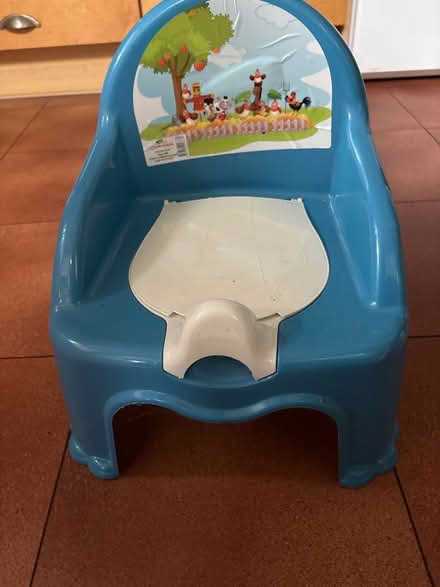 Photo of free Potty (Summertown OX2) #1
