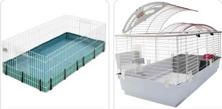 Photo of supplies for abandoned bunnies (Stanley Park Kitchener) #4