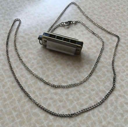 Photo of free A 'Harmonica' necklace. (Garden City OX5) #1