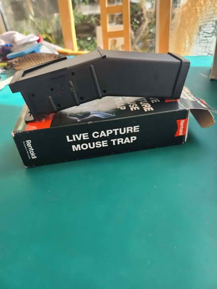 Photo of free Humane mouse trap (Drylaw EH4) #1