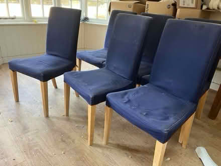 Photo of free 6 Dining Chairs (Newton Court Farm RG20) #1