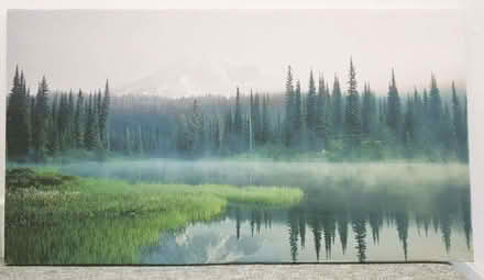 Photo of free Picture of forest by lake 90.0 x 50.0 cm (Manor Park S2) #1