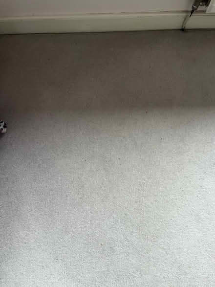 Photo of free Hessian backed carpet (Locks heath SO31) #1