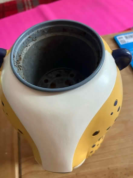 Photo of free Cheetah plant pot 🪴 (Waddon CR0) #2