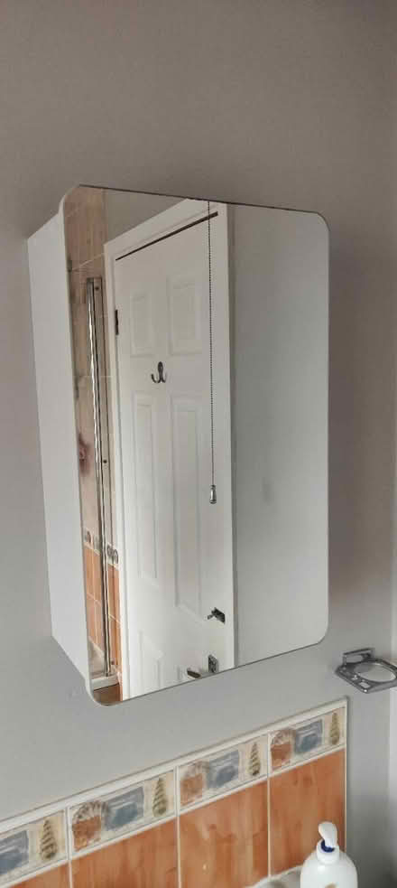 Photo of free Bathroom cabinet (Trowbridge BA14) #1