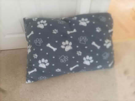 Photo of free Medium sized dog cushion (Coulsdon CR5) #1