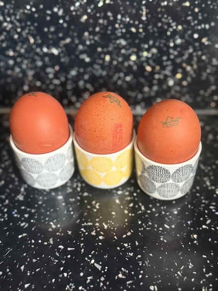 Photo of free 4 adorable egg cups (Plumstead SE18) #2