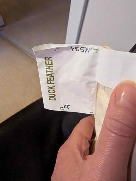 Photo of free Large duck feather cushion pad, new (Chesser EH14) #2