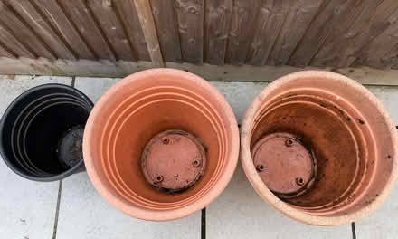 Photo of free Large plastic plant pots (Epping CM16) #3
