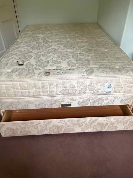 Photo of free Queen double bed (Saint Fagans CF5) #2