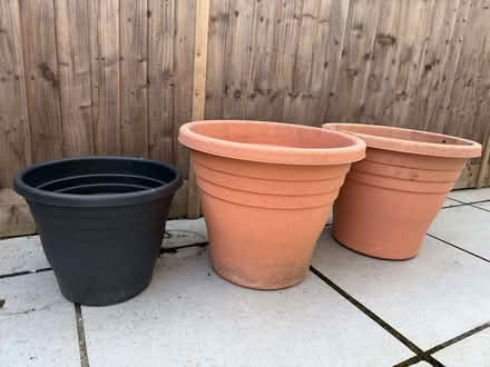 Photo of free Large plastic plant pots (Epping CM16) #1