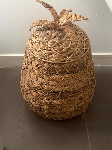 Photo of free Pineapple laundry basket (Walkley S6) #1